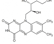 riboflavina