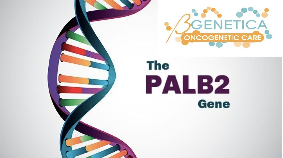 Il Ruolo Del Gene PALB2 Nel Tumore Al Seno | Bgenetica